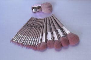 MAKEUP BRUSH SET (21 PCS)